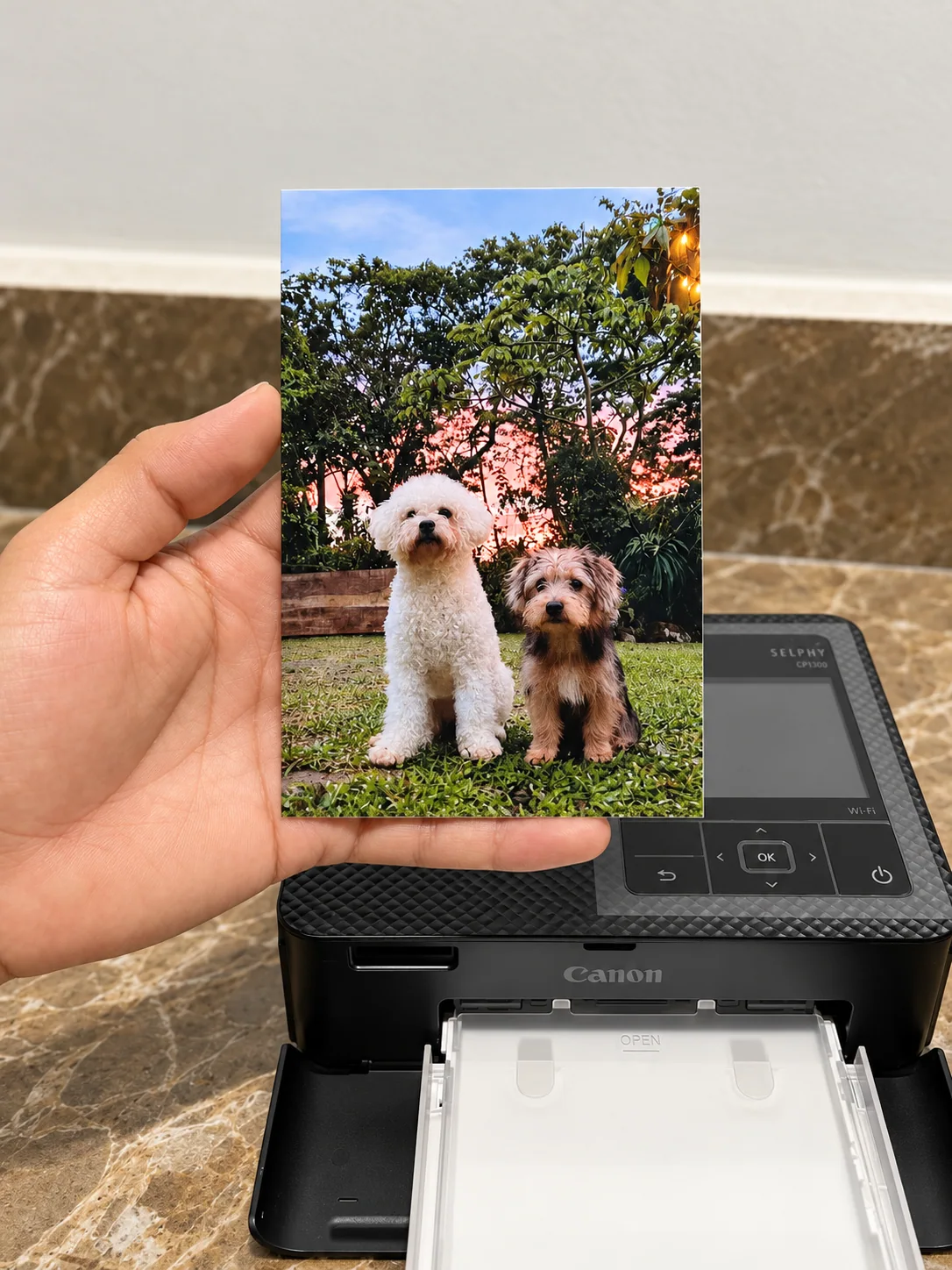 Fotografía impresa de dos mascotas